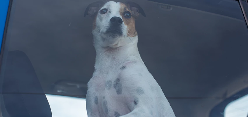 Car Lockout Solutions in Ukiah, California